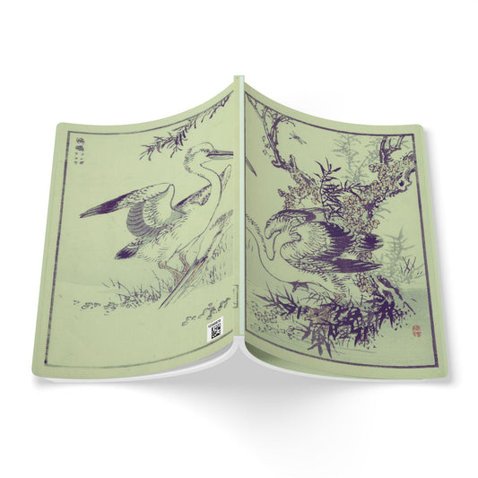 Bog Witch Bird DND Journal Vintage Marsh Illustration Fantasy Softcover Notebook