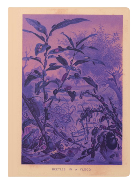 Beetles In A Flood Fantasy Journal Notebook