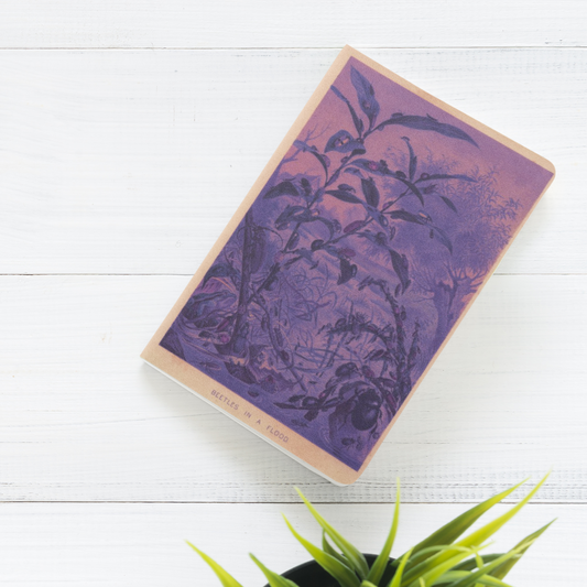 Beetles In A Flood Fantasy Journal Notebook